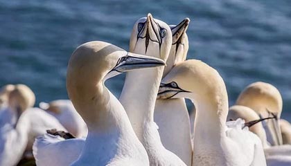 华体会官方网站：让信赖成为最闪亮的入口